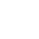 PDF icon